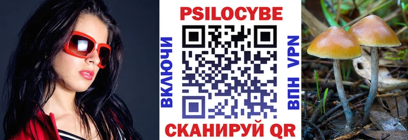 Галлюциногенные грибы Magic Shrooms  Лермонтов 